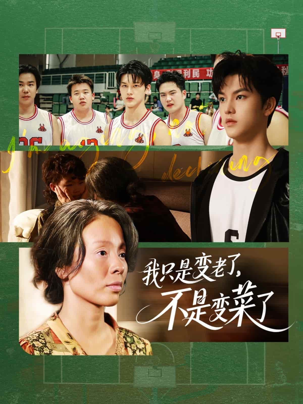 我只是变老了，不是变菜了海报