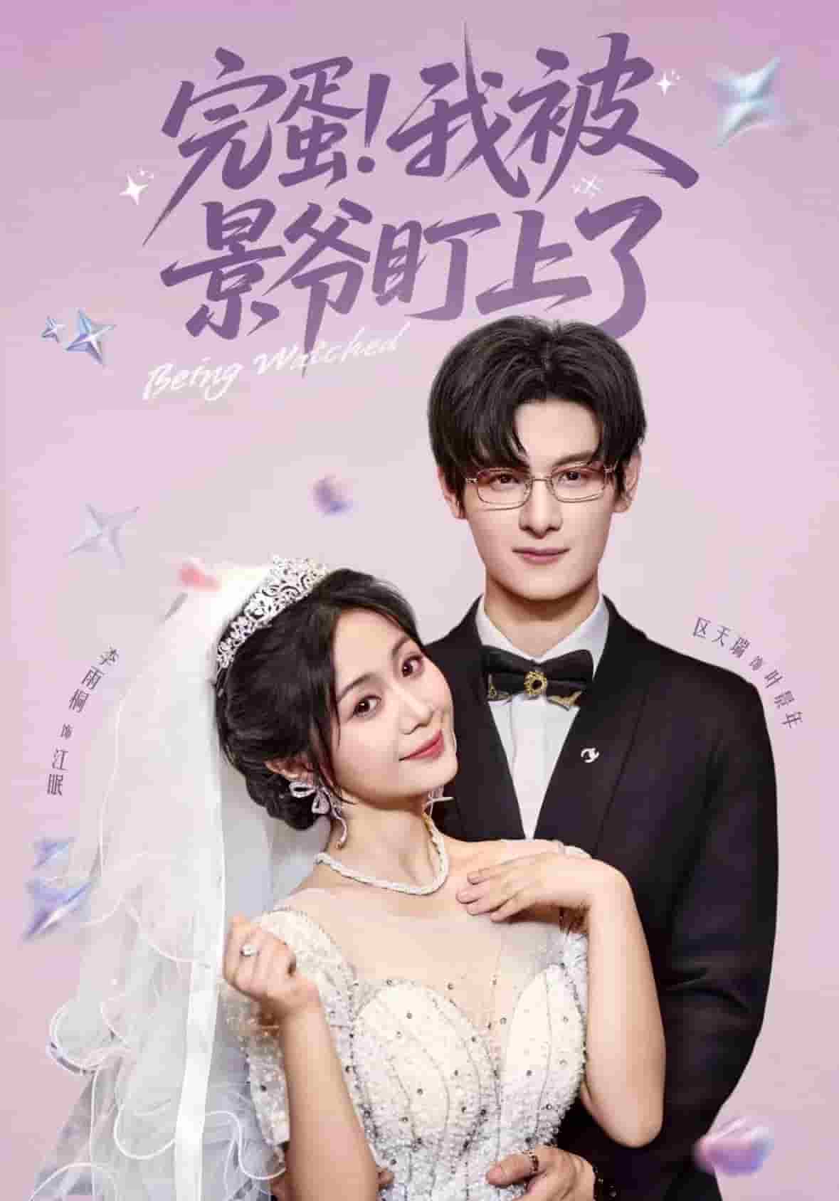 完蛋我被景爷盯上了海报