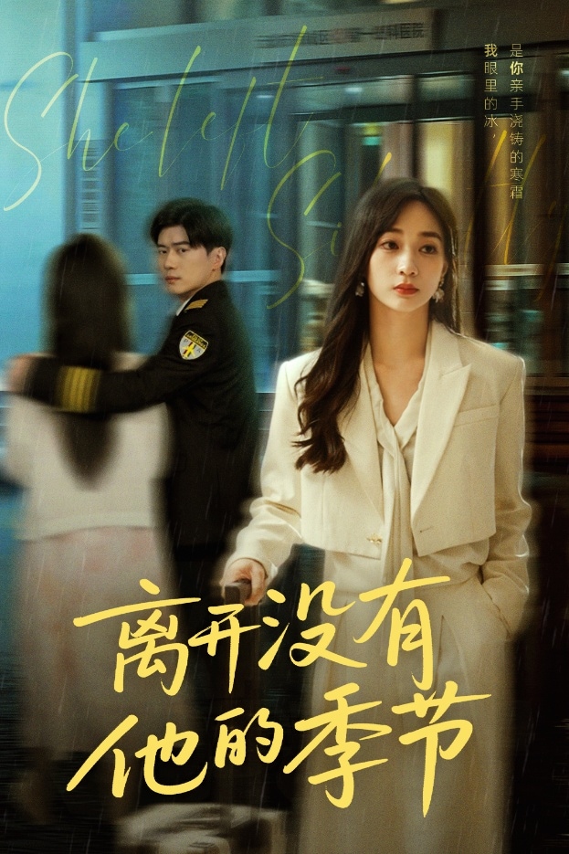 离开没有他的季节海报