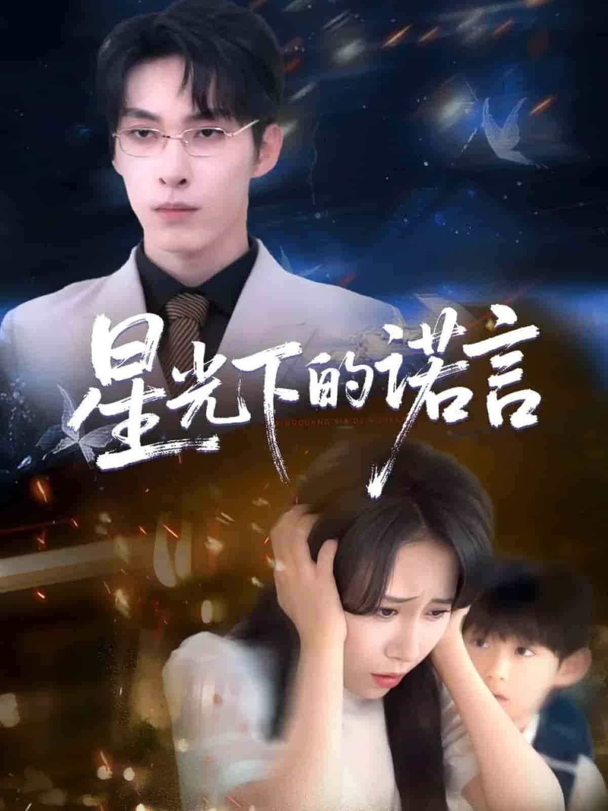 星光下的诺言海报