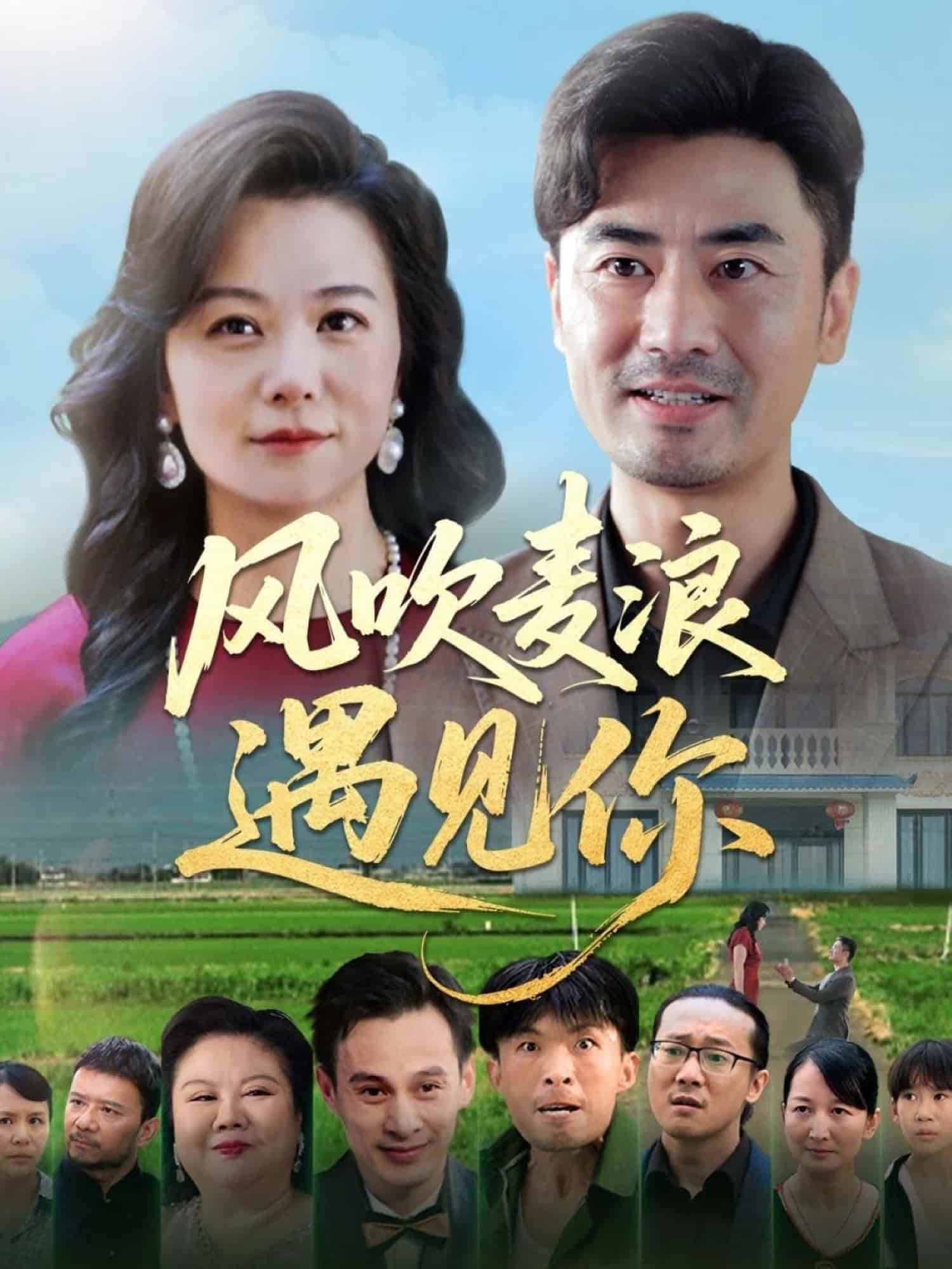 风吹麦浪遇见你海报