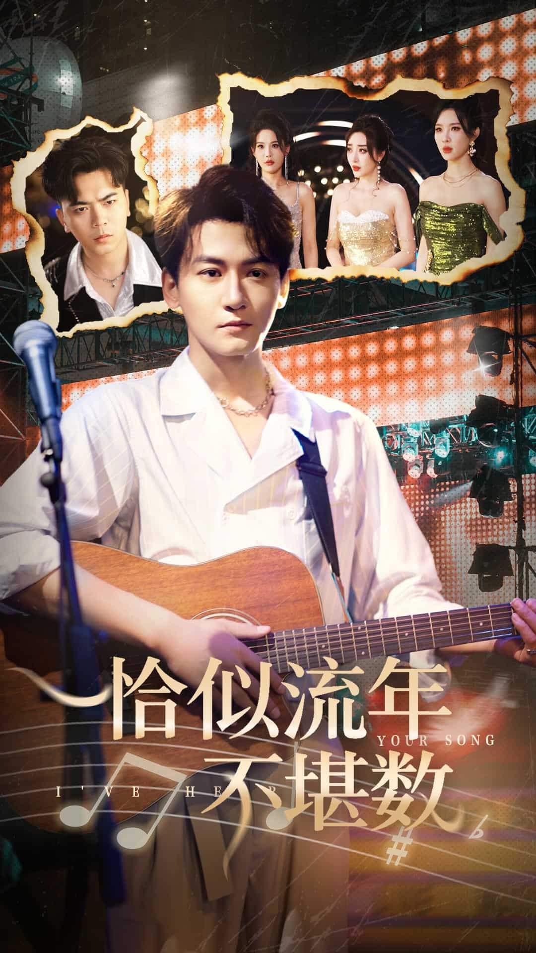 恰似流年不堪数海报