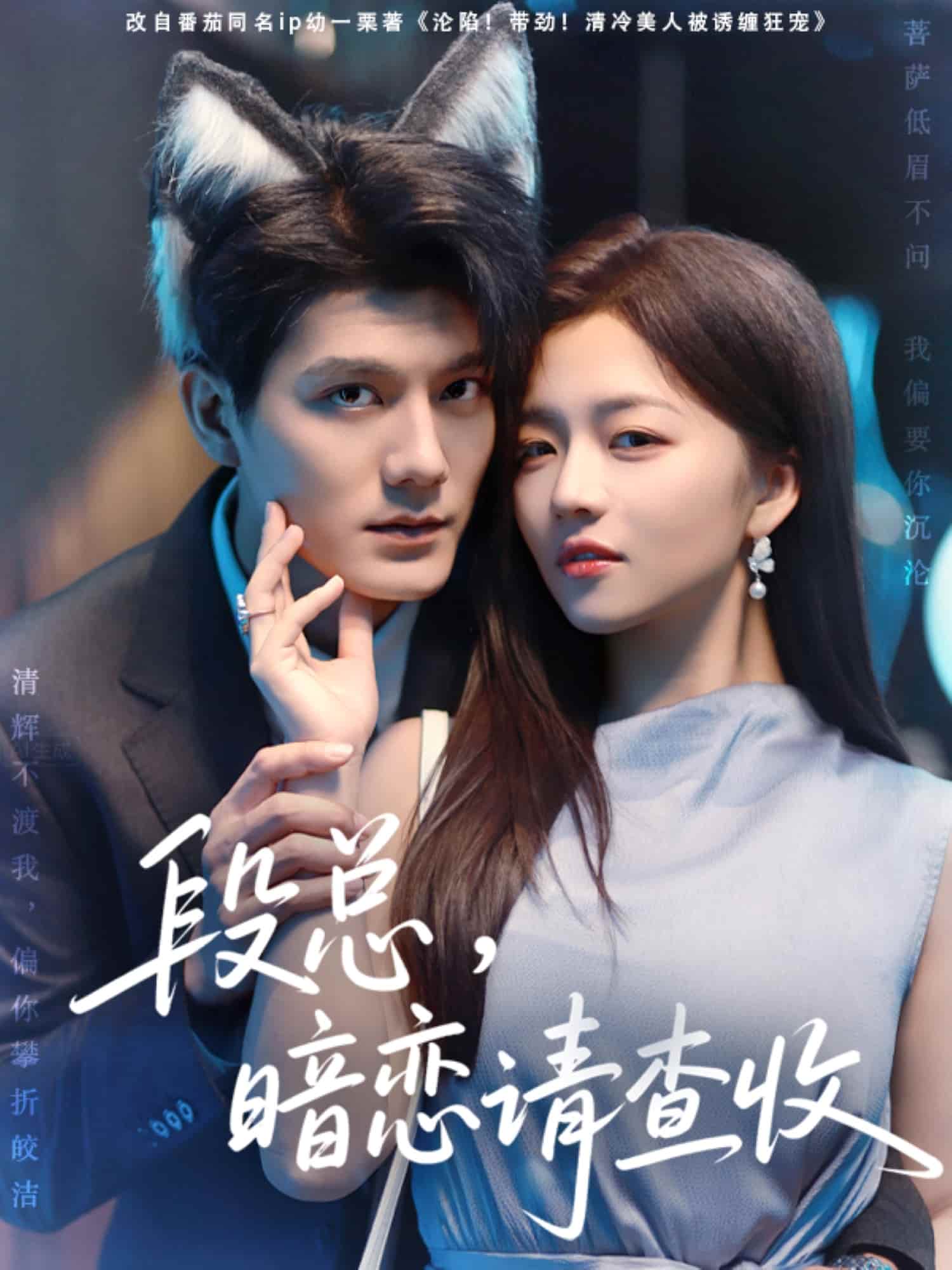 段总暗恋请查收海报