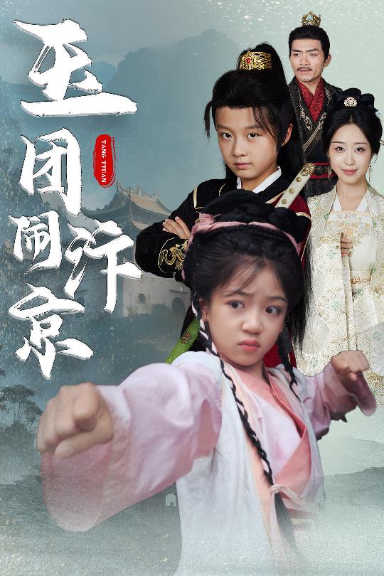 玉团闹汴京海报