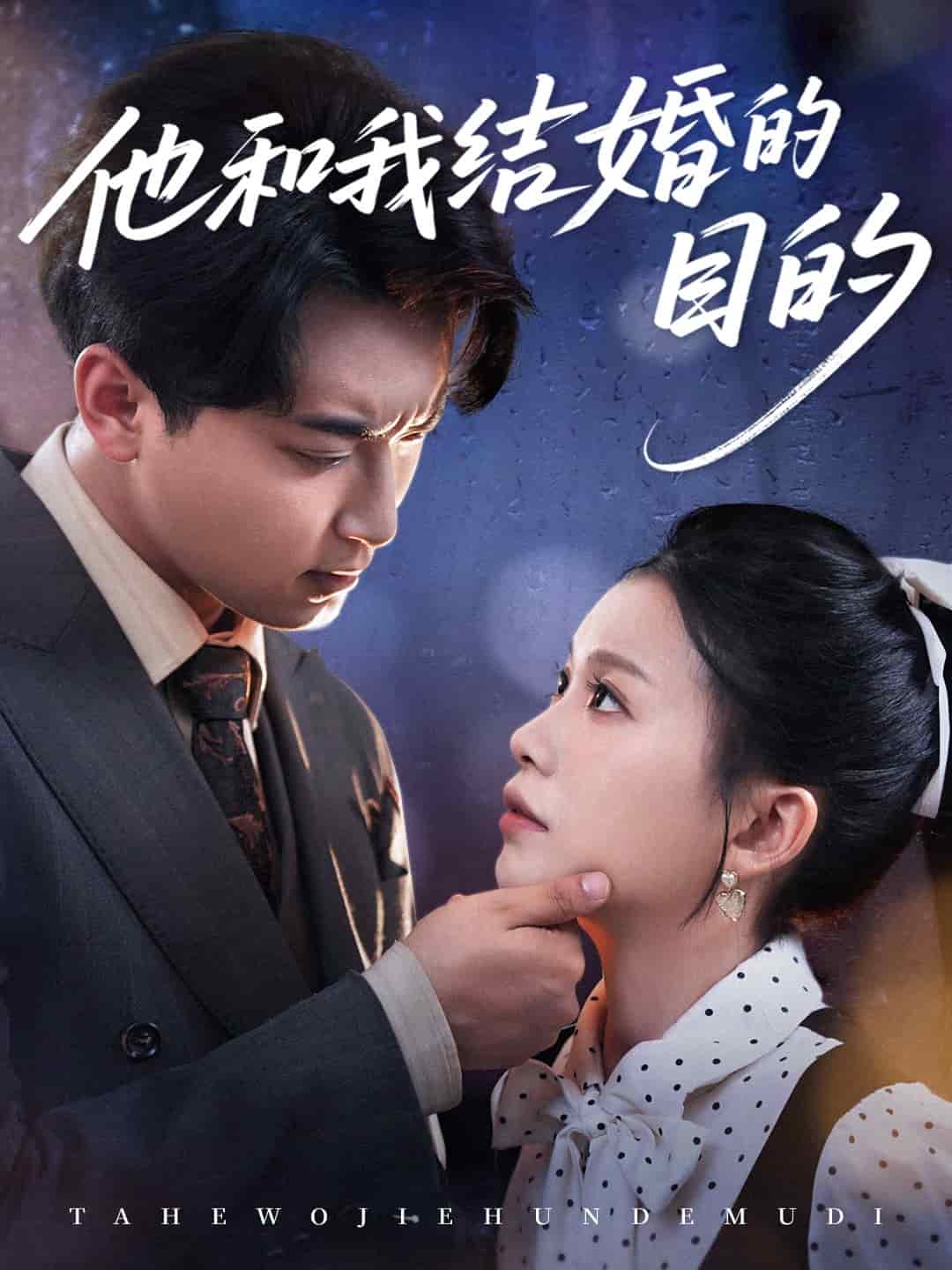 他和我结婚的目的海报