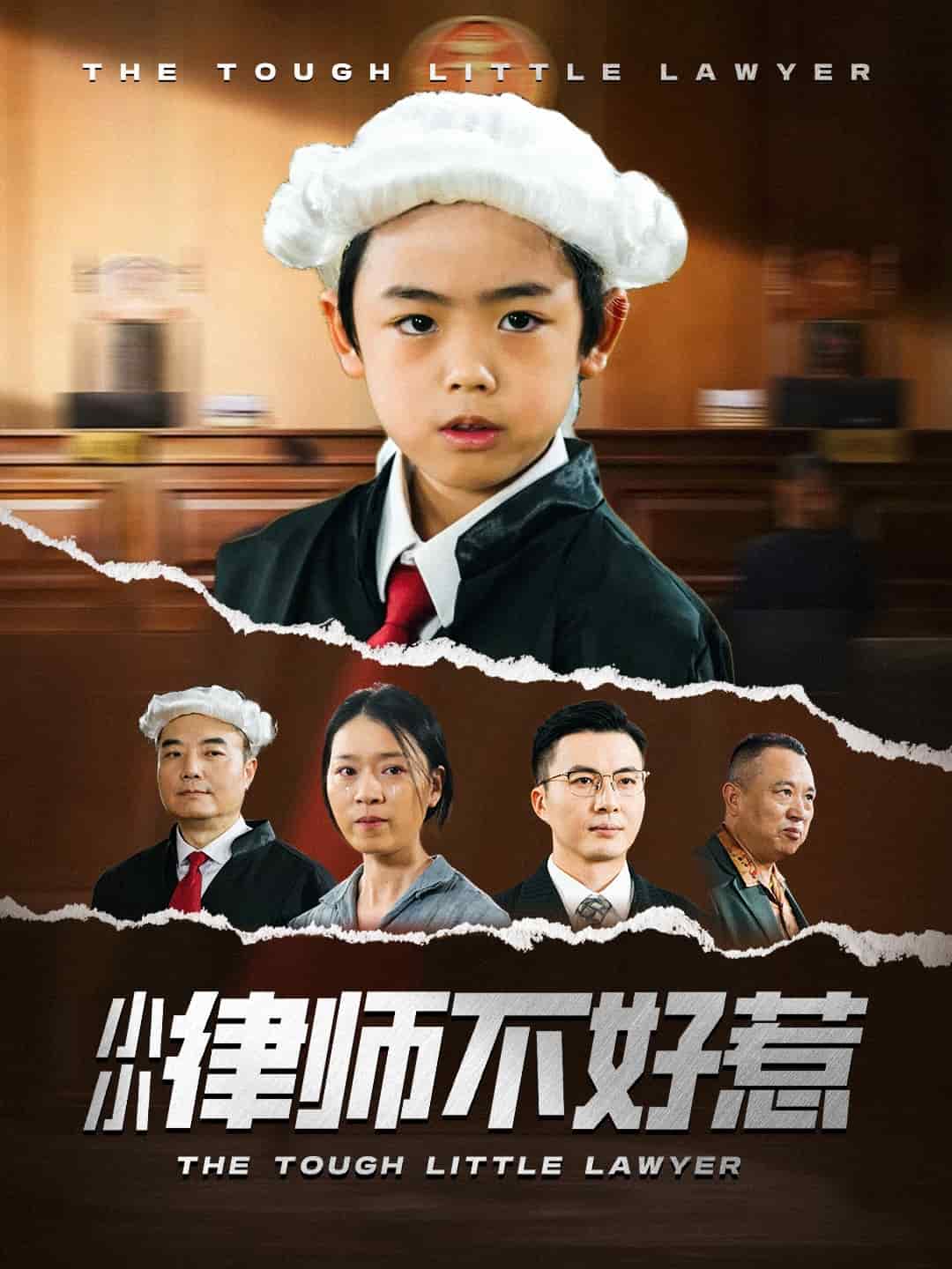 小小律师不好惹海报