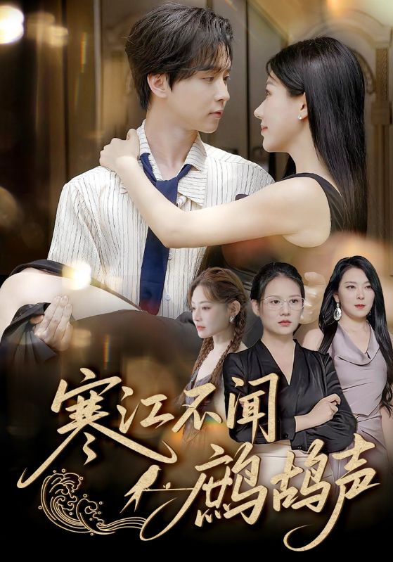 寒江不闻鹧鸪声海报