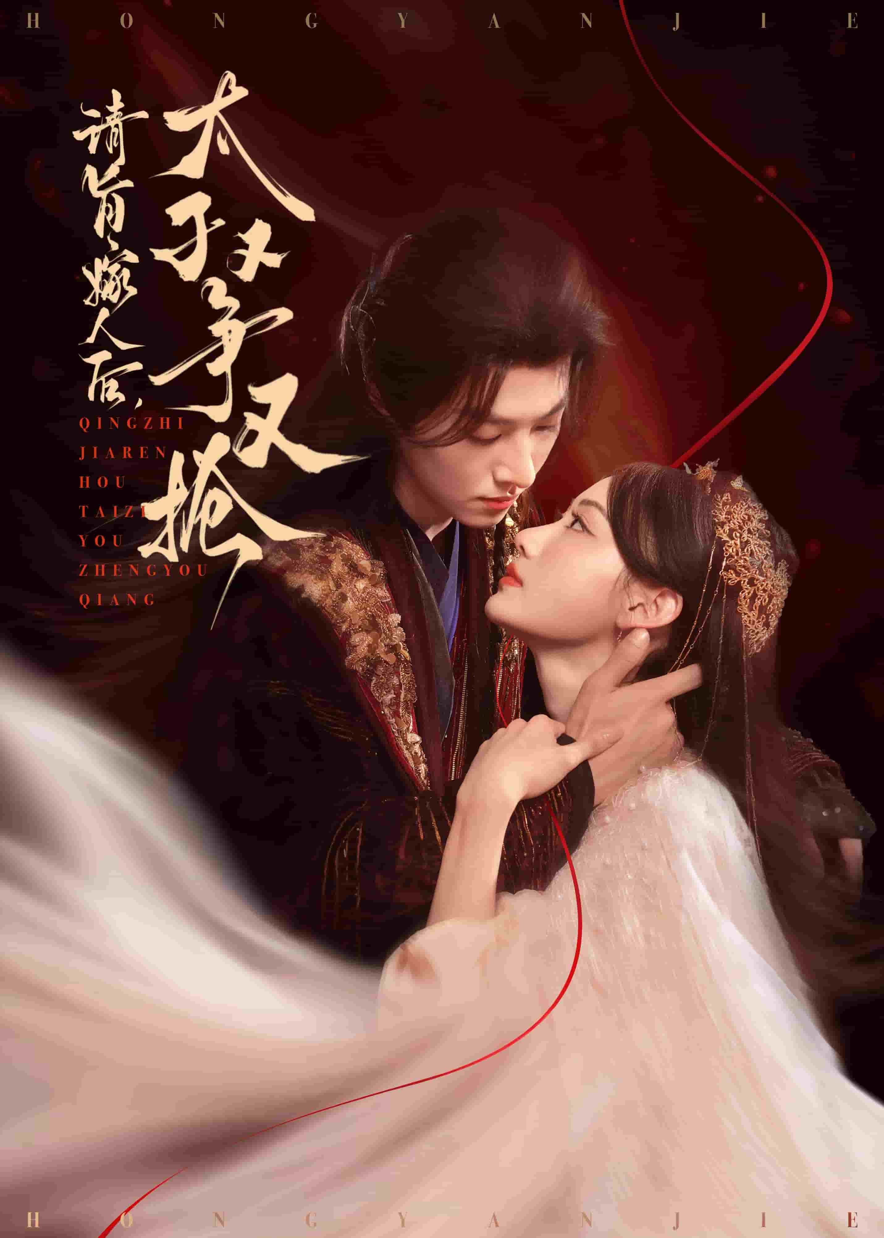 请旨嫁人后太子又争又抢海报