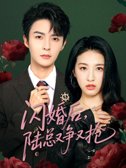 闪婚后陆总又争又抢海报