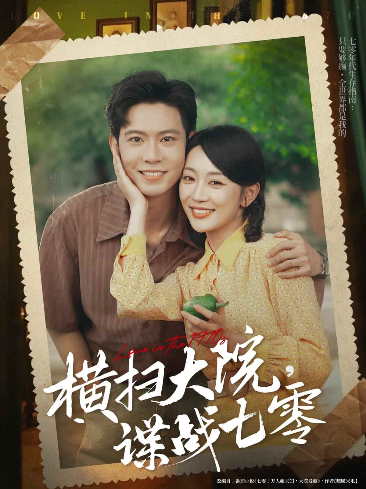 横扫大院谍战七零海报