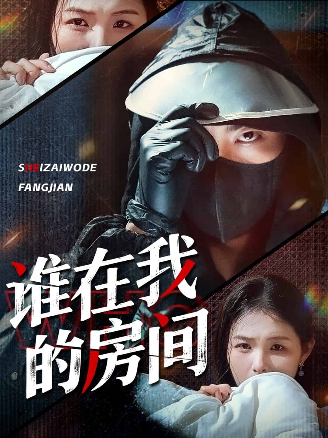 谁在我的房间海报