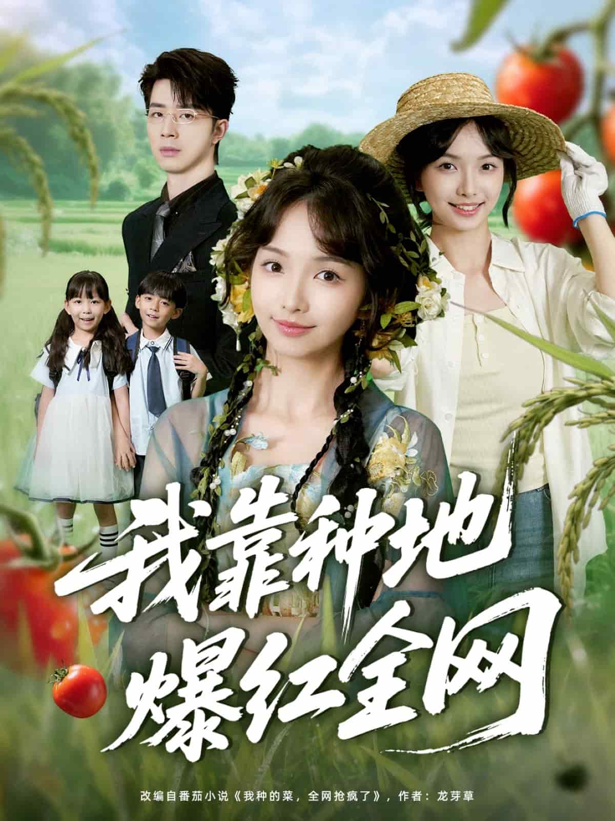 我靠种地爆红全网海报