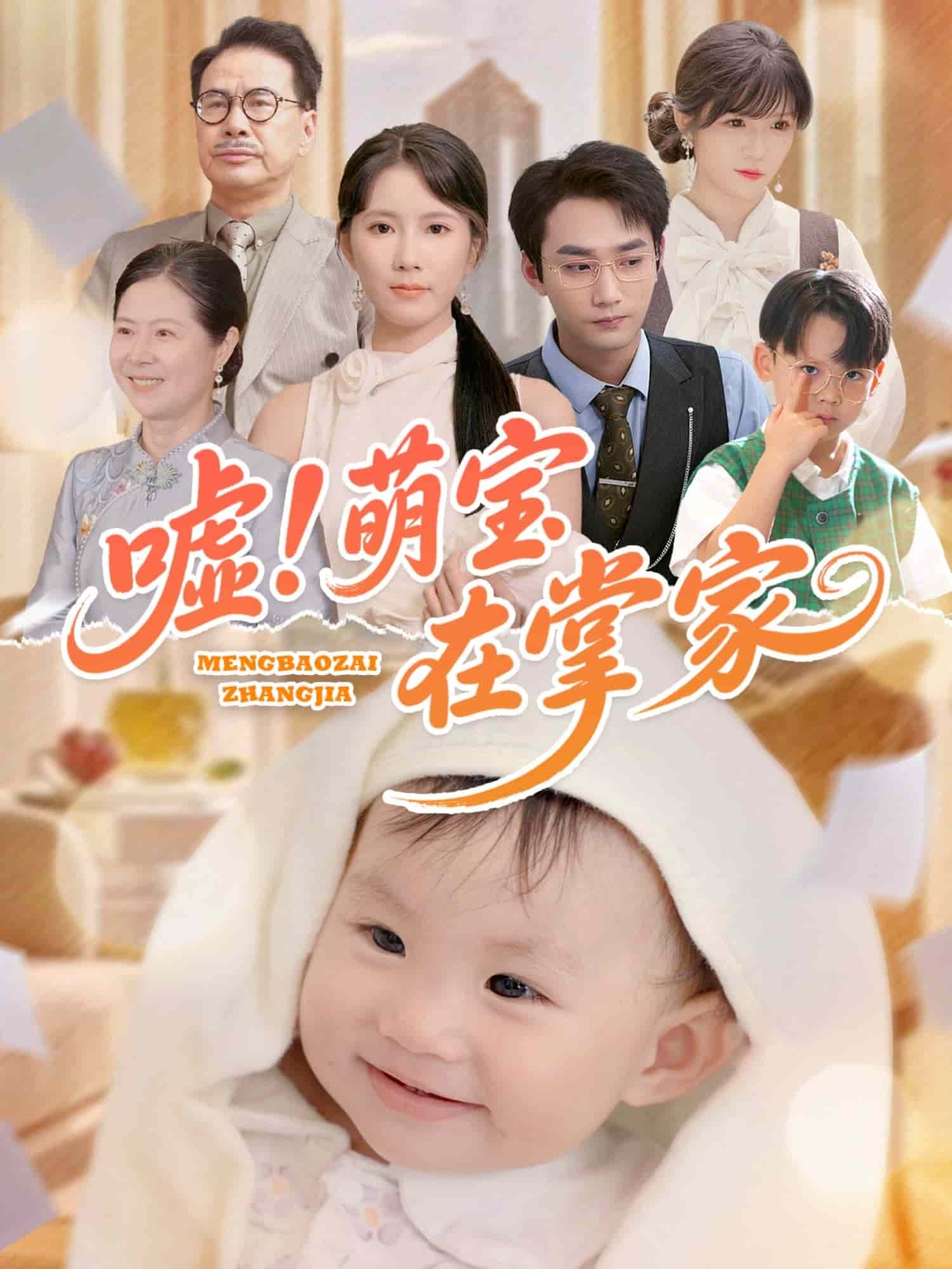 嘘！萌宝在掌家海报