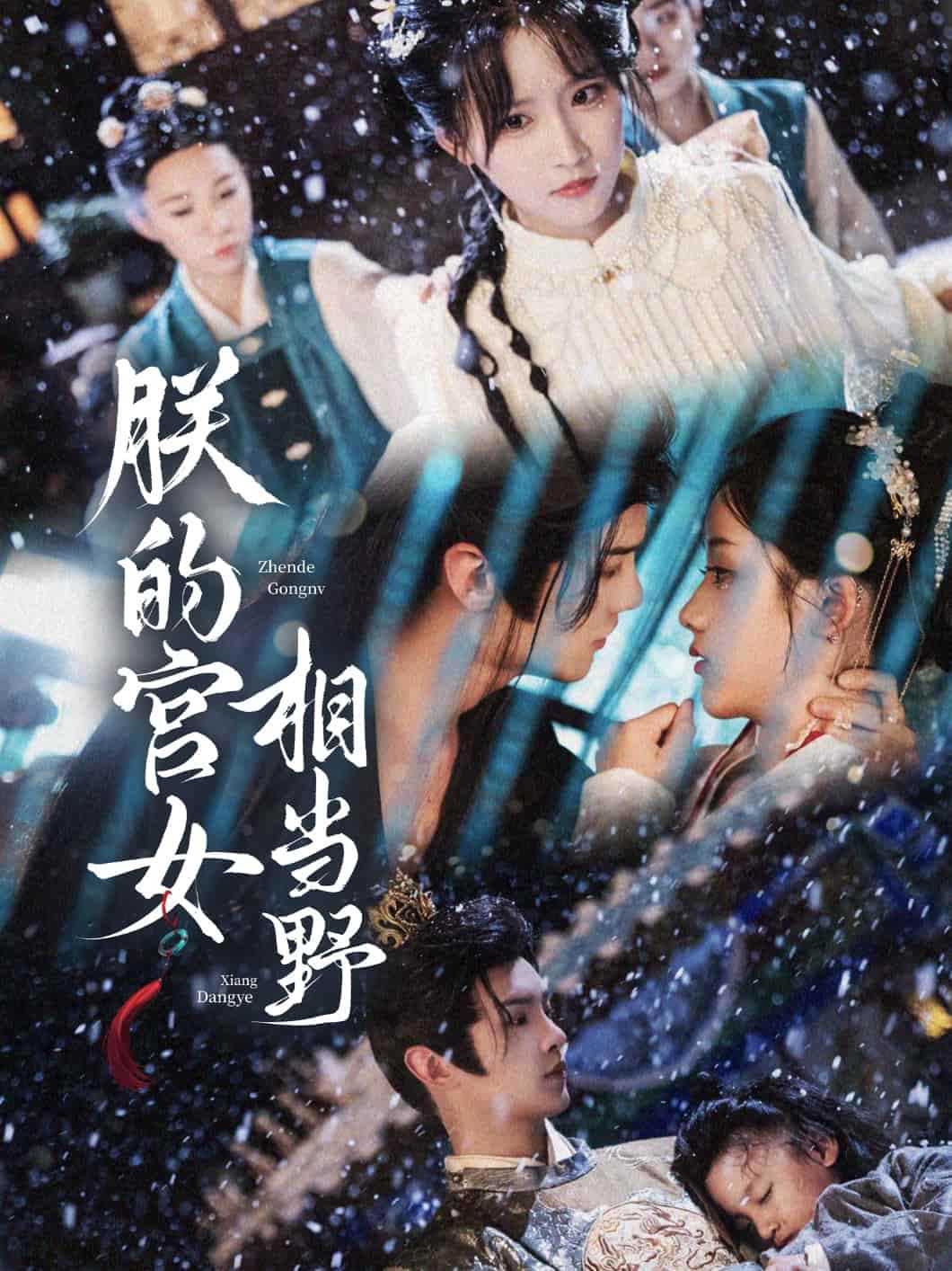 朕的宫女相当野海报