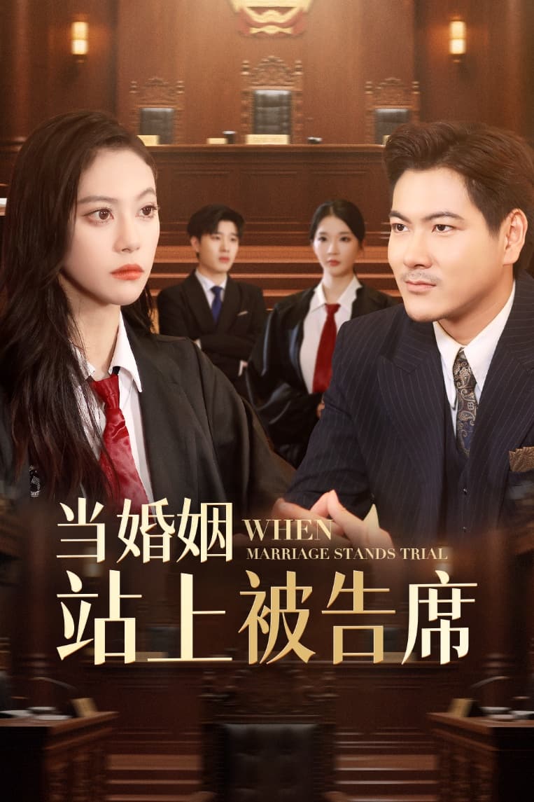 当婚姻站上被告席海报