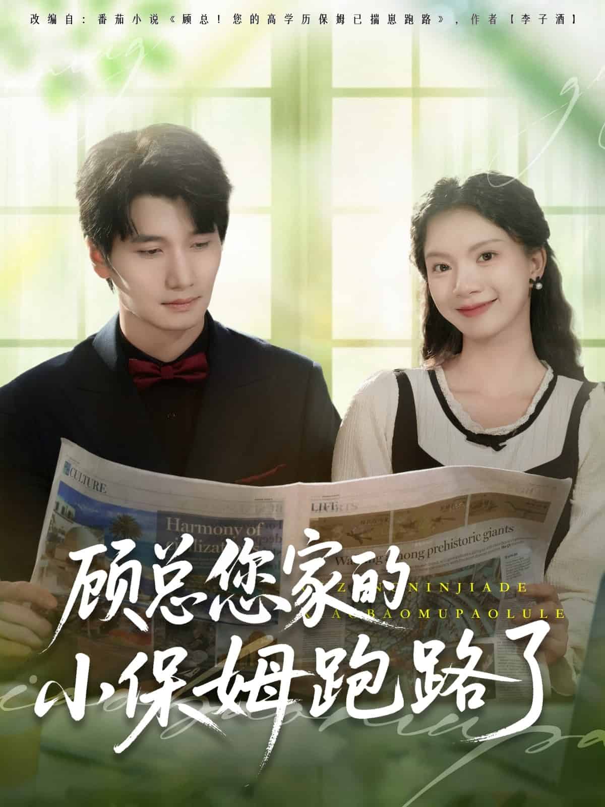 顾总您家的小保姆跑路了海报