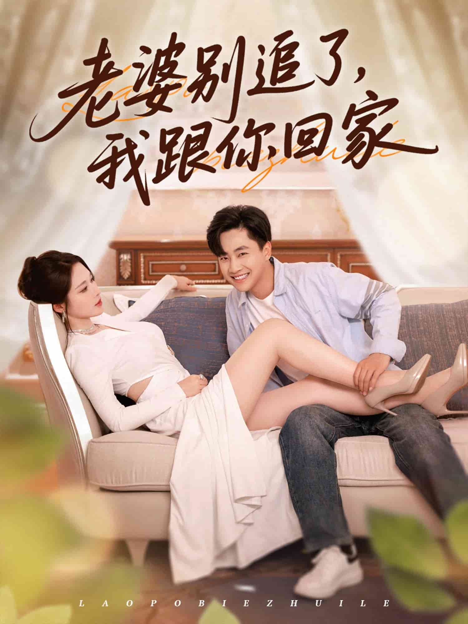 老婆别追了我跟你回家海报