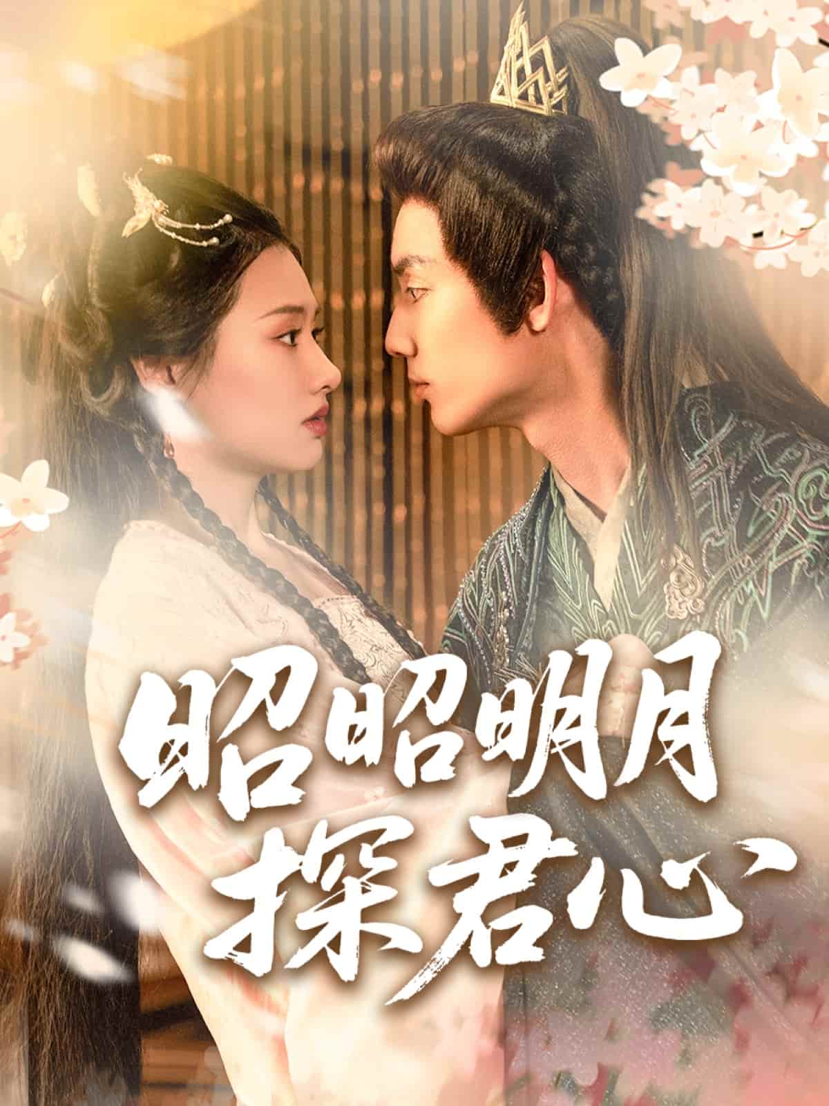 昭昭明月探君心海报