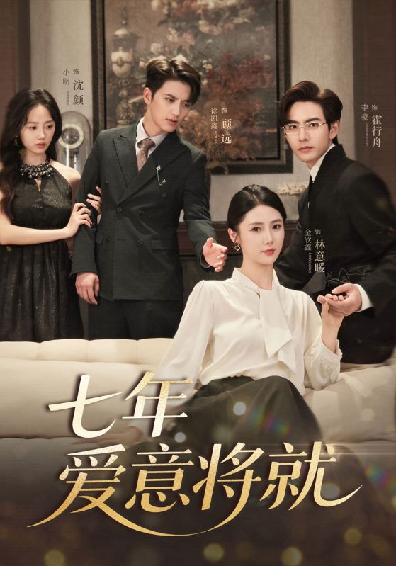 七年爱意将就海报