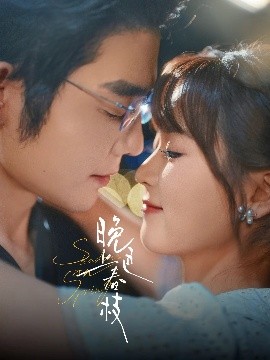 晚色上春枝海报