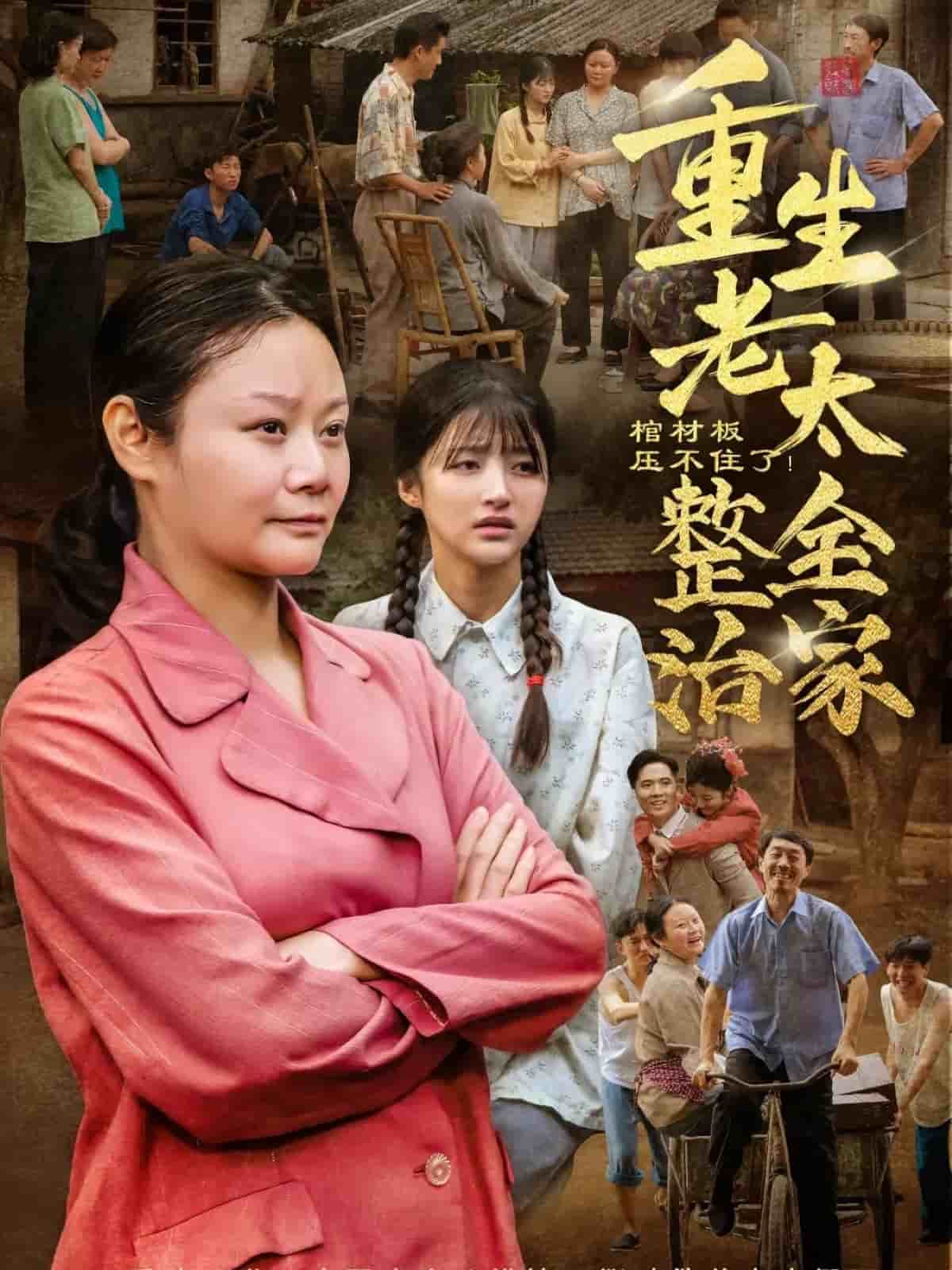 棺材板压不住了重生老太整治全家海报