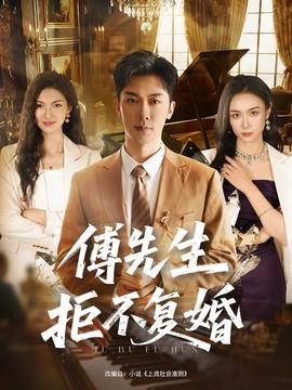 傅先生拒不复婚海报