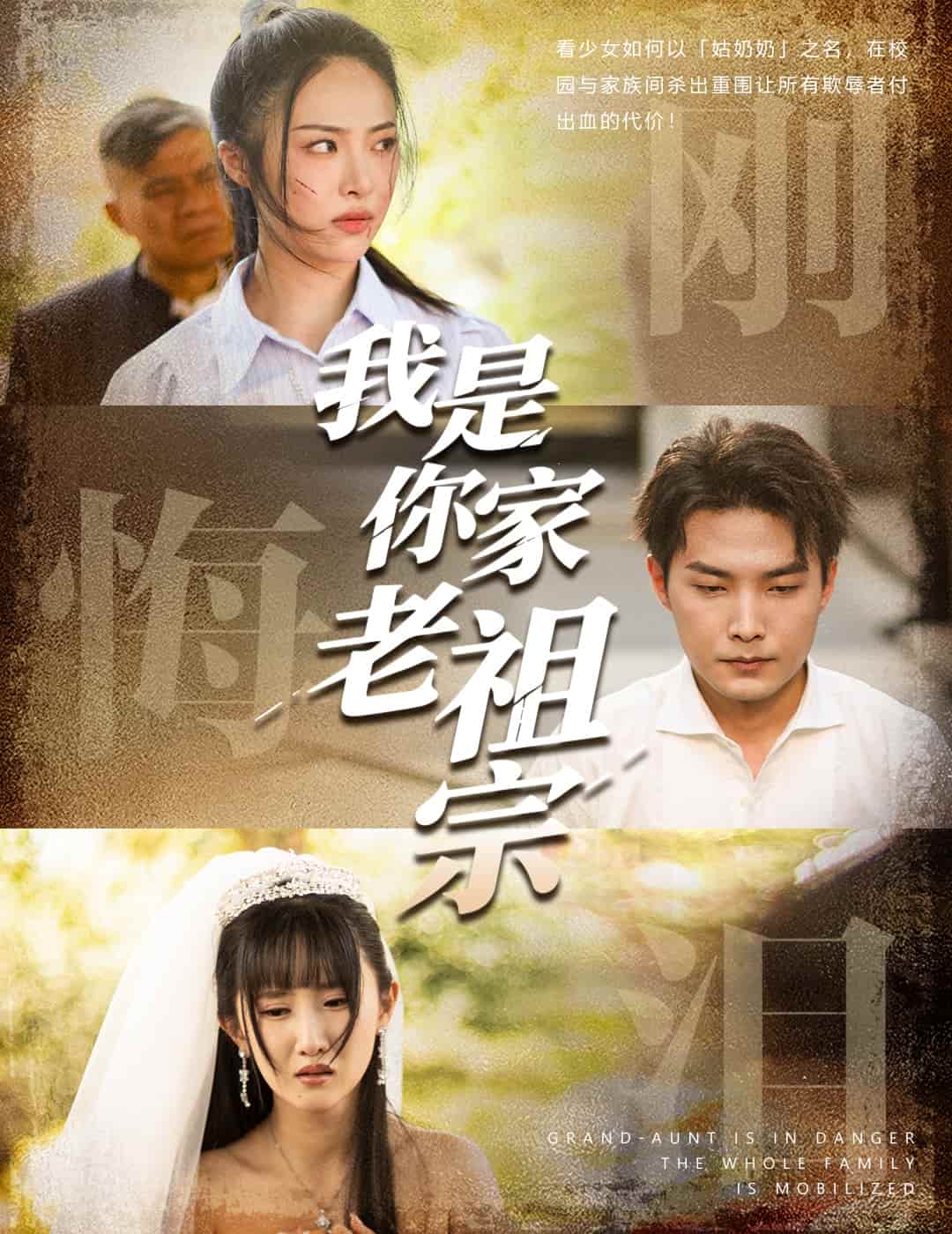 我是你家老祖宗海报