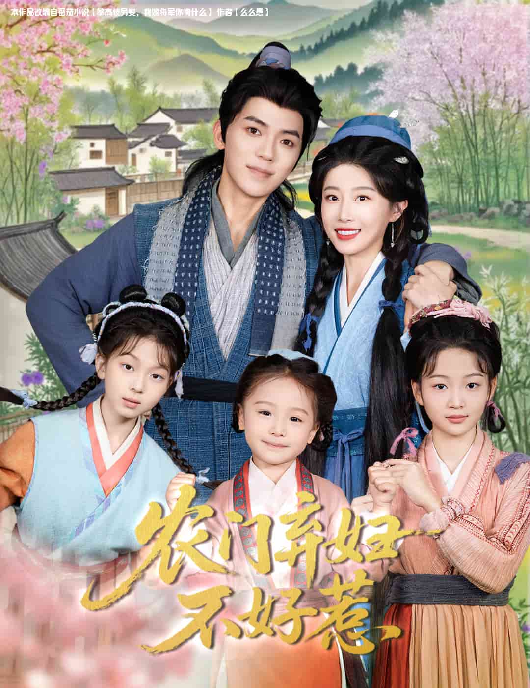 农门弃妇不好惹海报