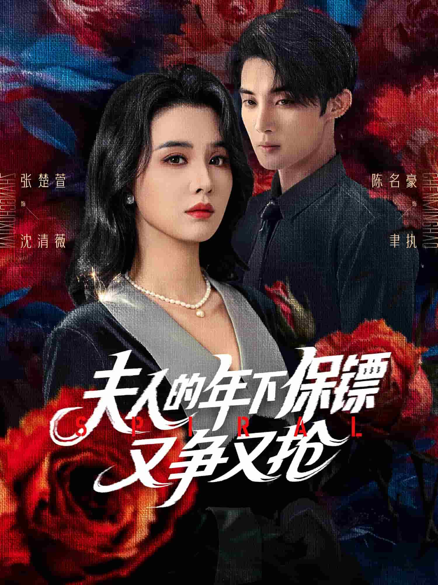 夫人的年下保镖又争又抢海报