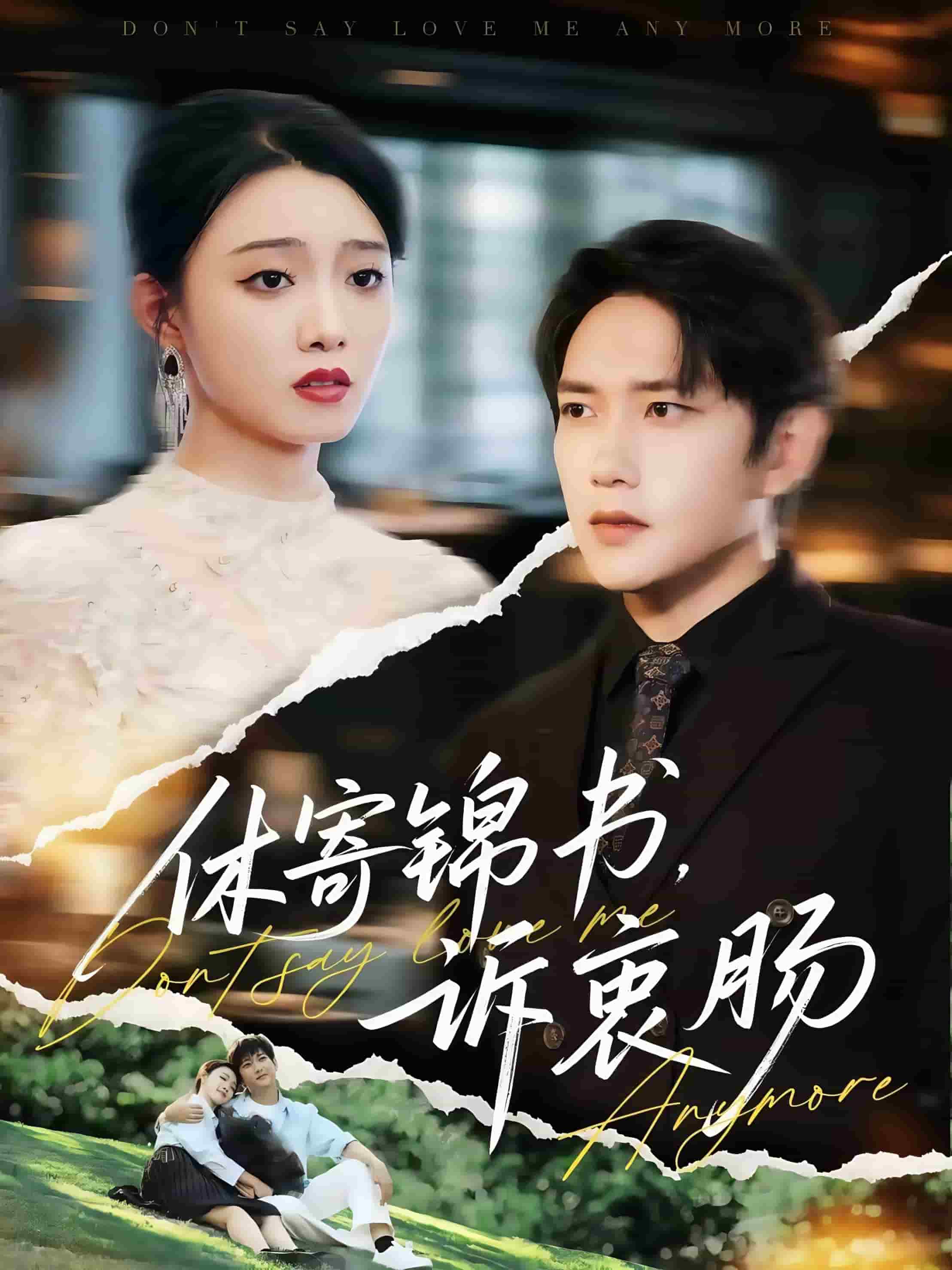 休寄锦书诉衷肠海报