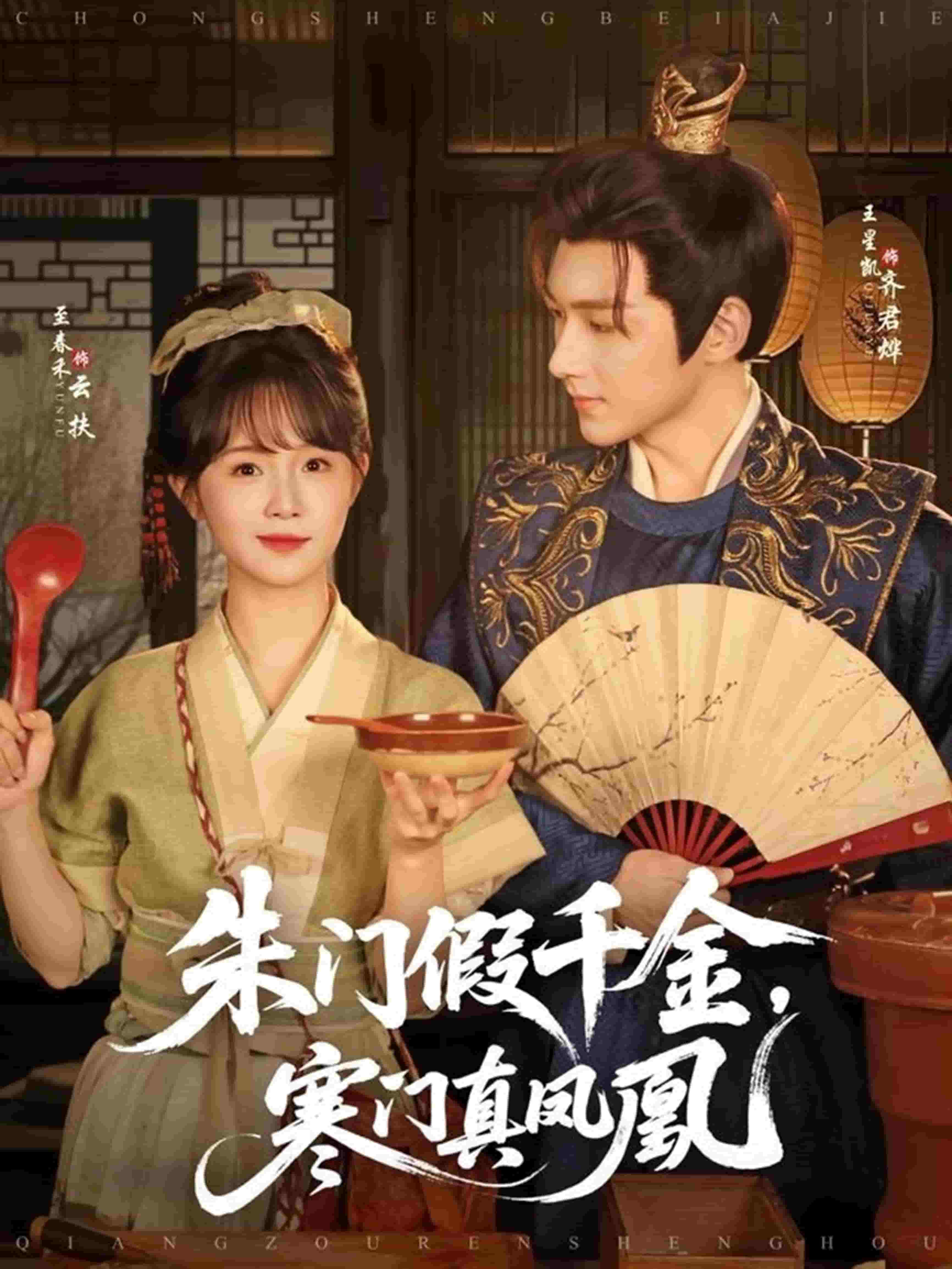 朱门假千金寒门真凤凰海报