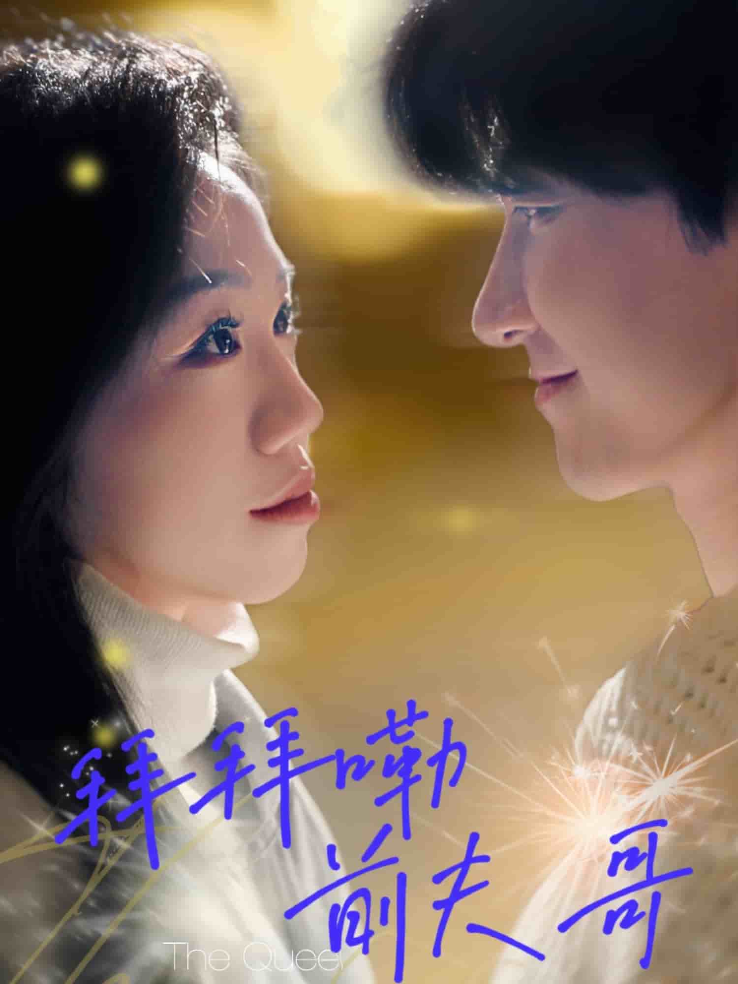 拜拜嘞前夫哥海报