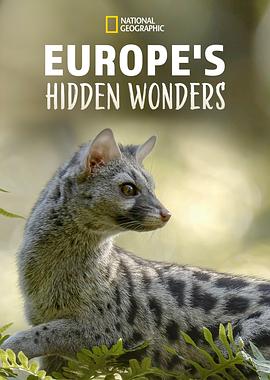 欧洲隐密珍宝第一季海报