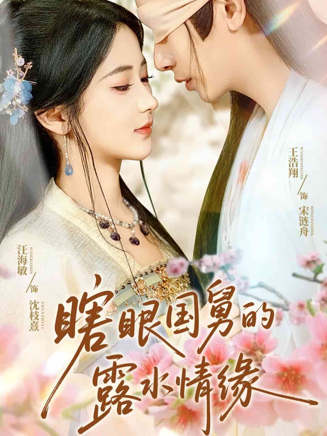 瞎眼国舅的露水情缘海报