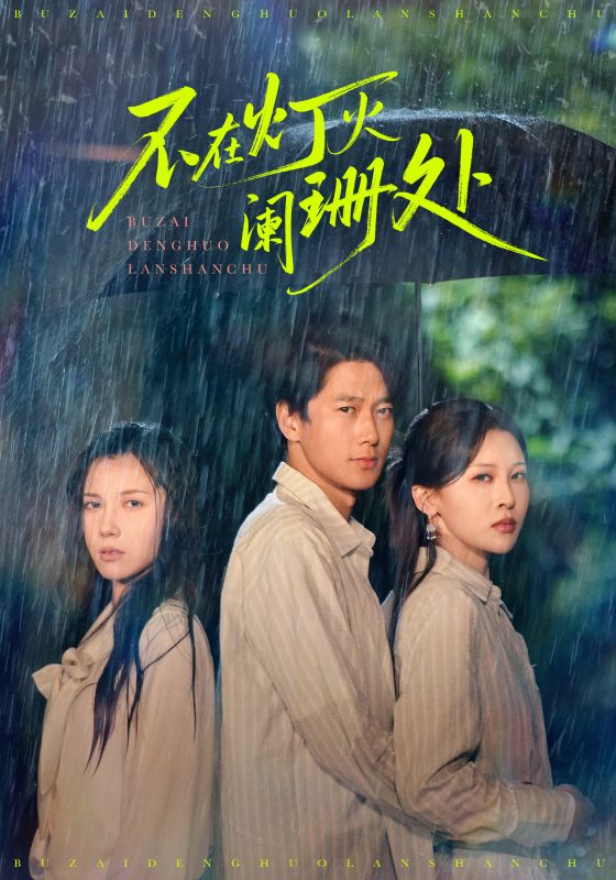 不在灯火阑珊处2025海报