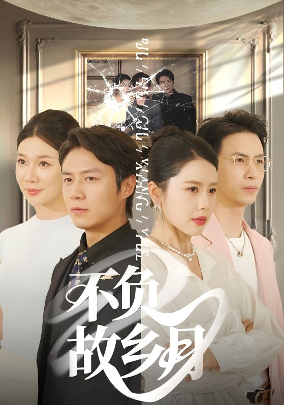 不负故乡月海报