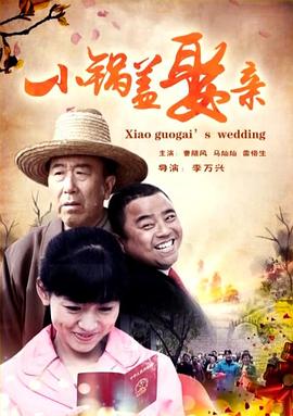 小锅盖娶亲海报