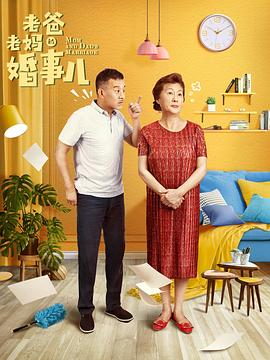老爸老妈的婚事儿海报