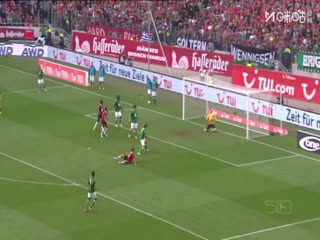 德甲联赛 科隆VS法兰克福 20251123海报