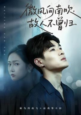 微风向南吹，故人不曾归海报