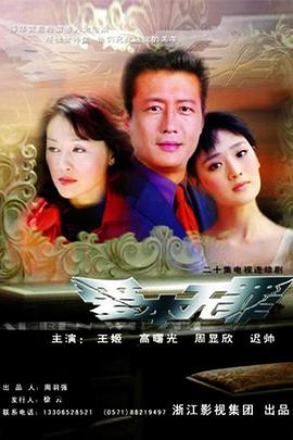 爱本无罪2005海报