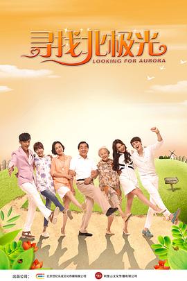 寻找北极光海报