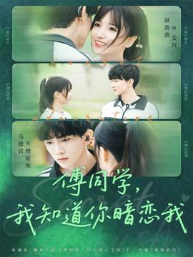 傅同学，我知道你暗恋我海报