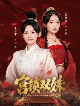宫锁双姝海报
