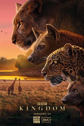 动物王国2025海报