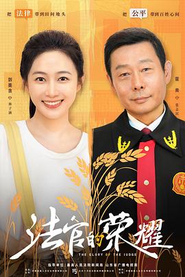 法官的荣耀海报