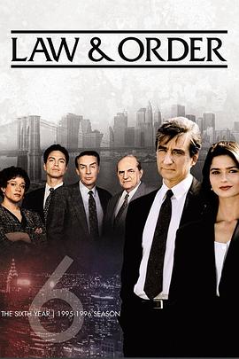 法律与秩序第六季海报