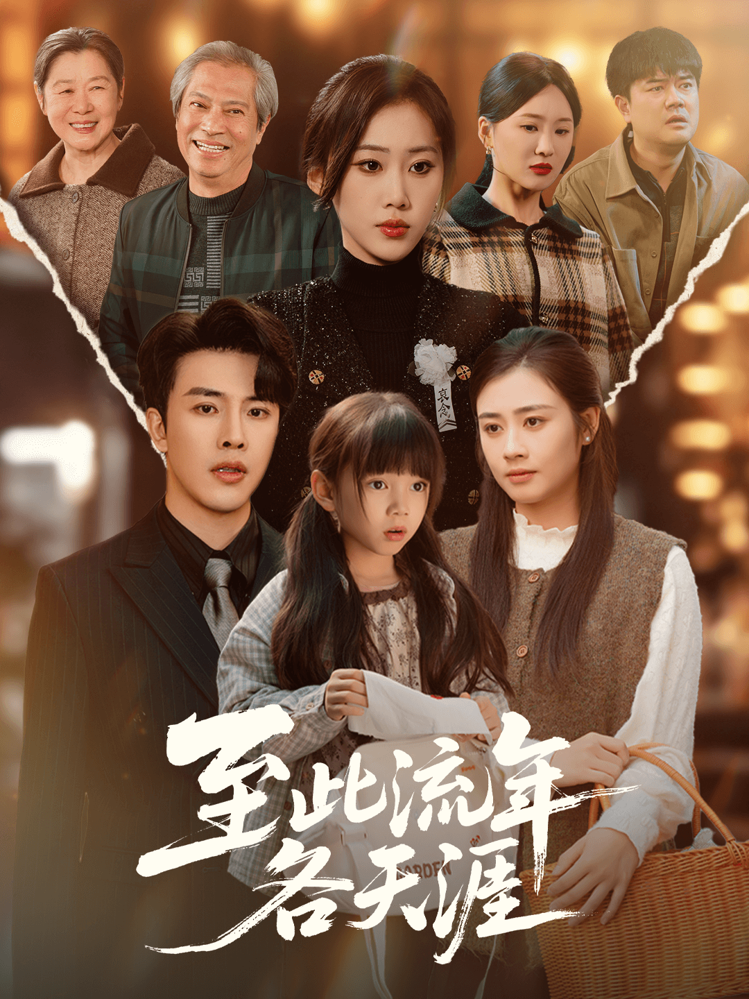 至此流年各天涯海报