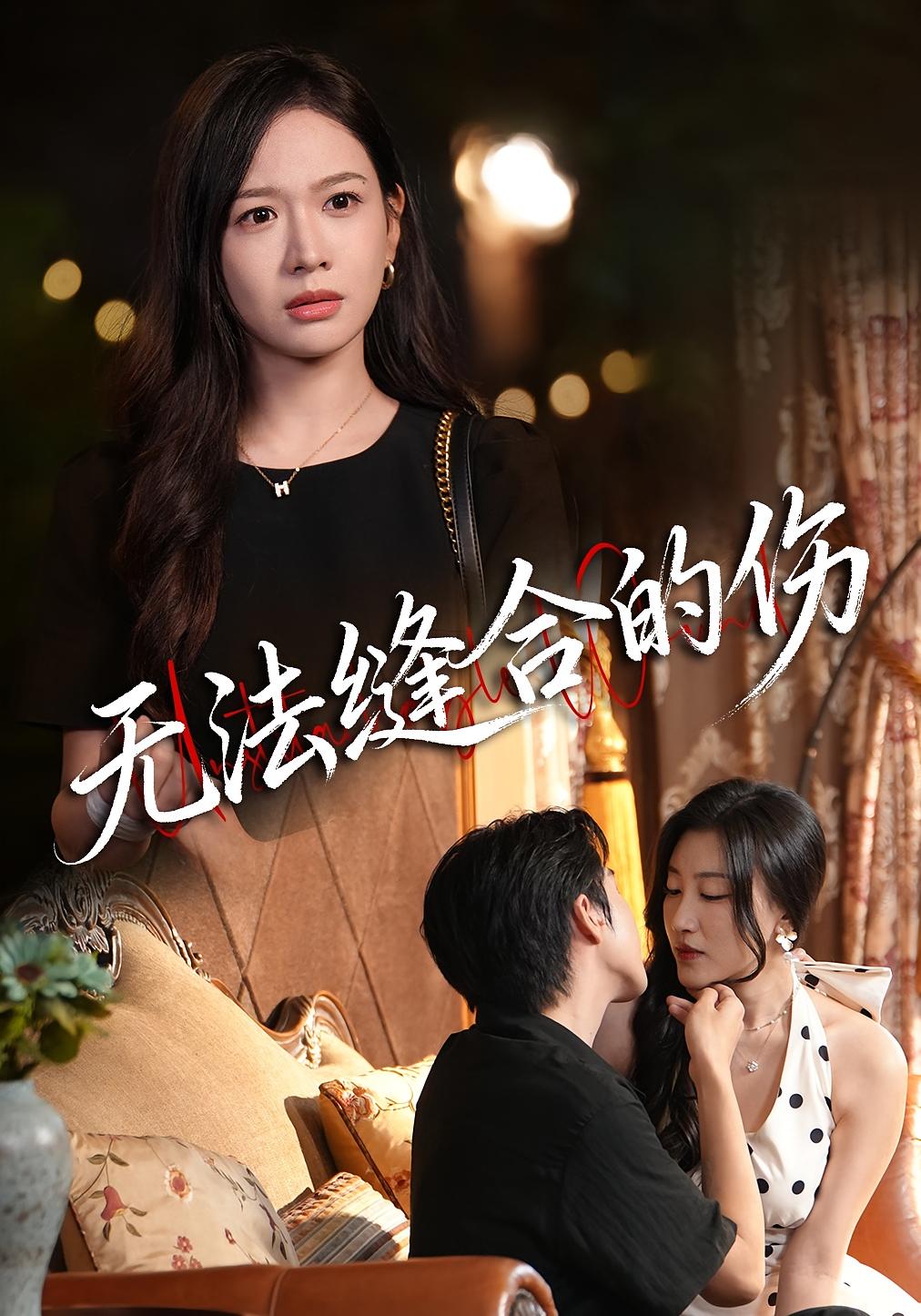 无法缝合的伤海报