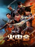 火中金海报